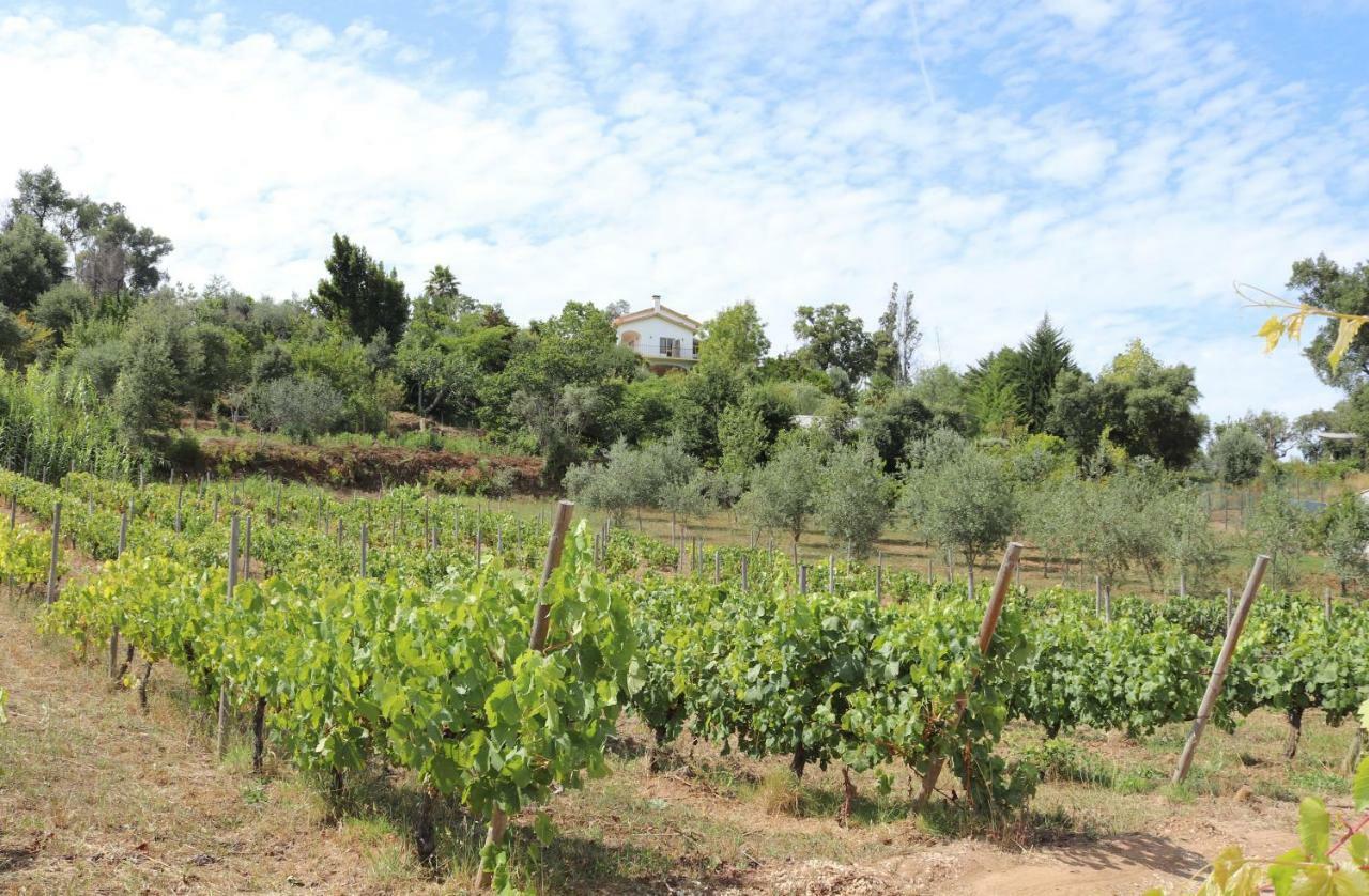 فيلا Quinta De S. Luis - Valada فيغيرو دو فينوس المظهر الخارجي الصورة